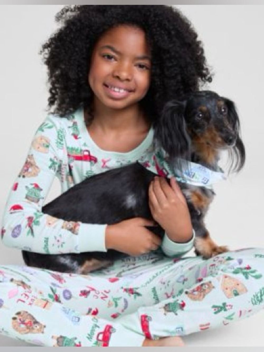 Holiday Lane Mint Christmas Pet Bandana - Festive Print. 
Size L/XL